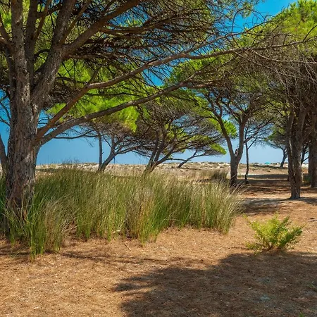 Simple Gem Of Le Dimore Di Nui1676 *